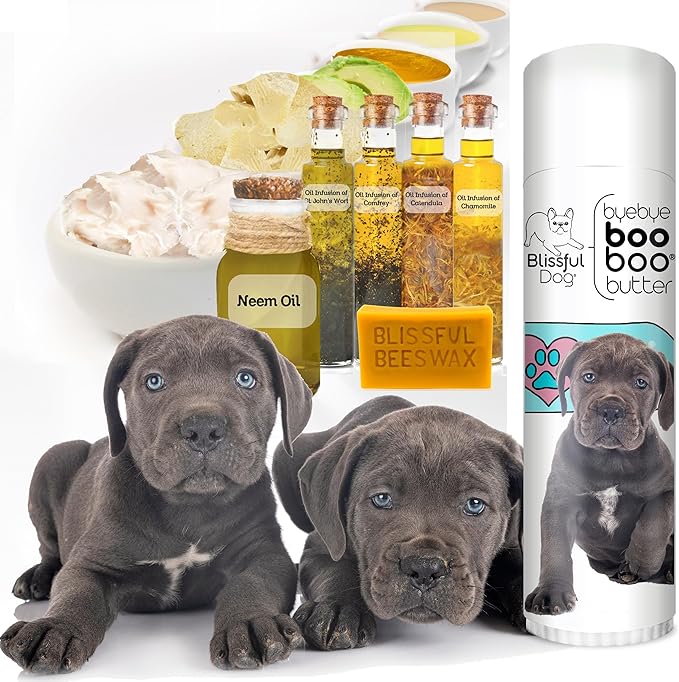 The Blissful Dog Cane Corso Boo Boo Butter, 0.50-Ounce