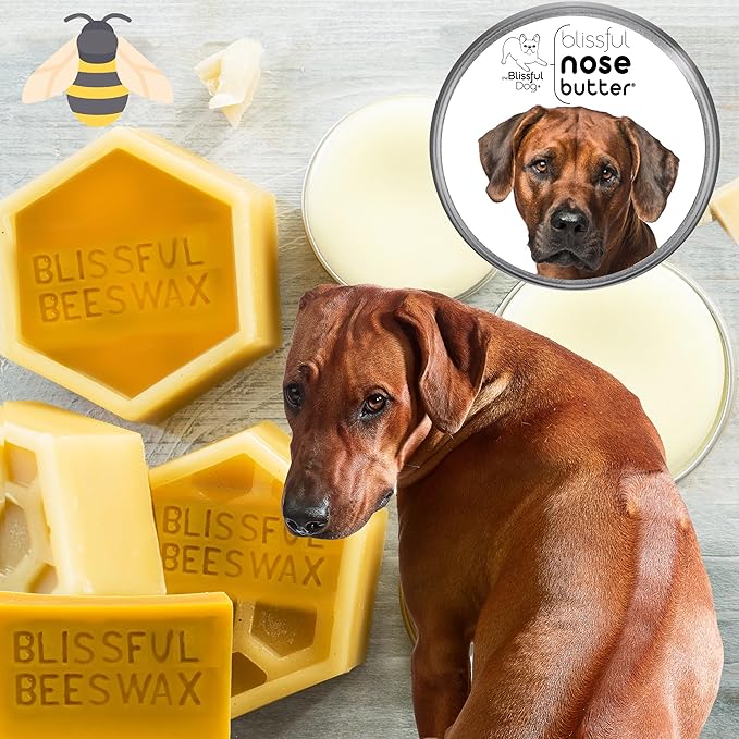 The Blissful Dog Rhodesian Ridgeback Nose Butter for Dry, Cracked Skin, Lick-Safe Dog Nose Balm with Moisturizing Shea Butter, Almond, Olive, and Essential Oils, Pet Supplies, Uncented, 8 oz.