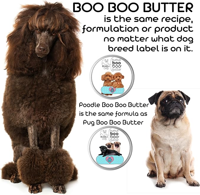 The Blissful Dog Curly-Coat Retriever Boo Boo Butter, 1-Ounce