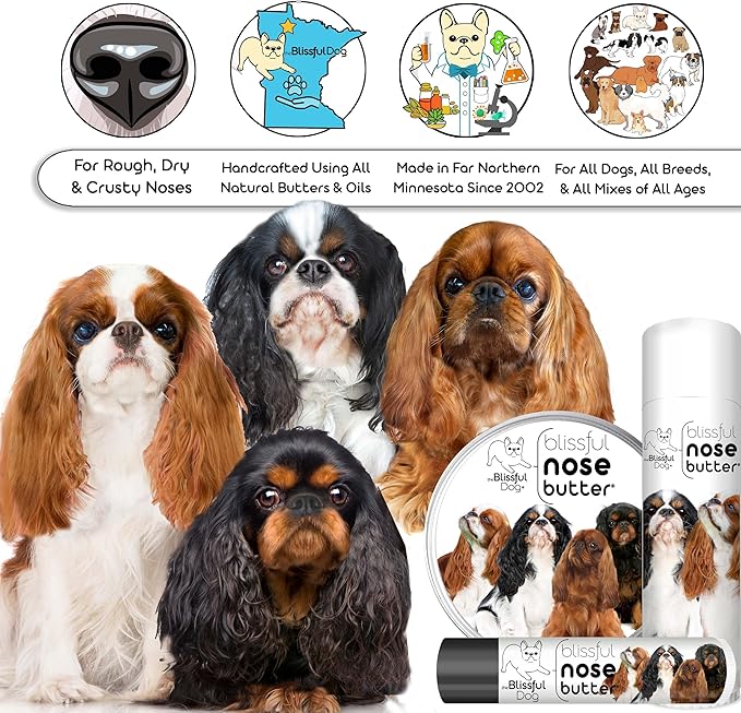 The Blissful Dog English Toy Spaniel Unscented Nose Butter