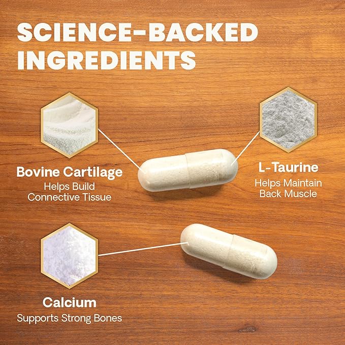 VetriScience Healthy Spine & Disc Easy-Open Capsules, Back & Spinal Support Chondroitin & Taurine Supplement for Dogs, Perfect for Dachshunds, Corgis, Frenchies & More, 180 Count