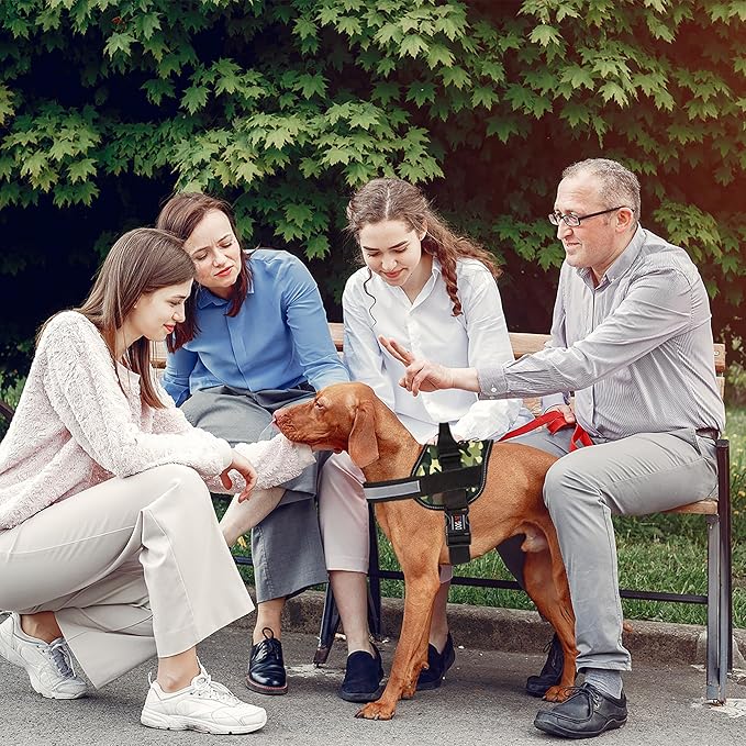 Dogline Dog Harness, Reflective No-Pull Adjustable Vest with Handle for Walking, Training, Breathable, No - Choke Harness for Small, Medium or Large Dogs Room for Patches Girth 33"-46" in Green Camo