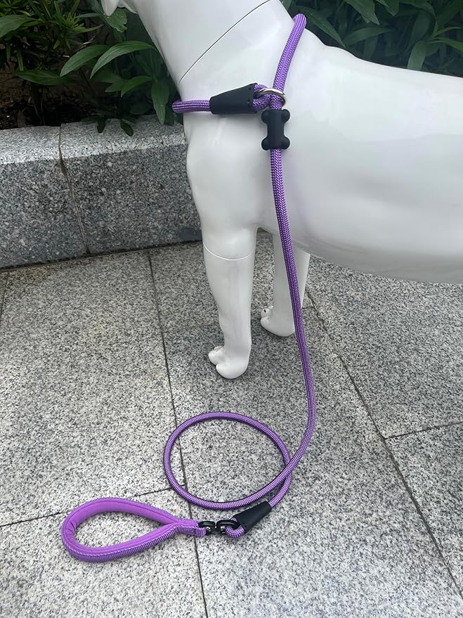 Slip Lead Dog Leash，Strong Nylon Rope Leash and Padded Handle,No Pull Outdoor Walking Training Lead for Small Medium Large Dogs (Purple, 1/2"×6ft)