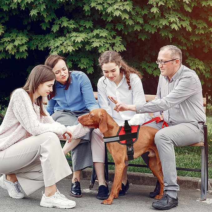 Dogline Dog Harness, Reflective No-Pull Adjustable Vest with Handle, Breathable No-Choke Harness for Small, Medium or Large Dogs Room for Patches Girth 22"-28" in Red