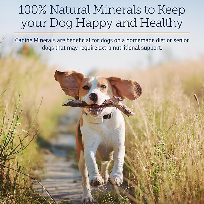 Rx Vitamins Canine Minerals - Essential Minerals for Dogs - Calcium, Magnesium, Iron Supplement, Bone and Joint Supplement for K9, Immune Support - 16oz