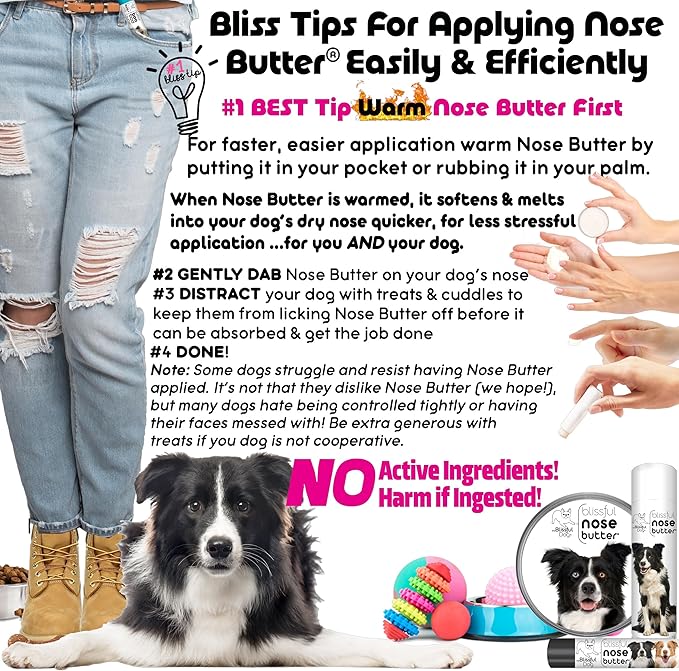 The Blissful Dog Border Collie Nose Butter for Dry, Cracked Skin, Lick-Safe Dog Nose Balm with Moisturizing Shea Butter, Almond, Olive, and Essential Oils, Pet Supplies, Uncented, 1 oz.