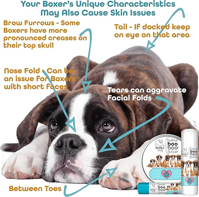 The Blissful Dog Boxer Boo Boo Butter, 16 oz.