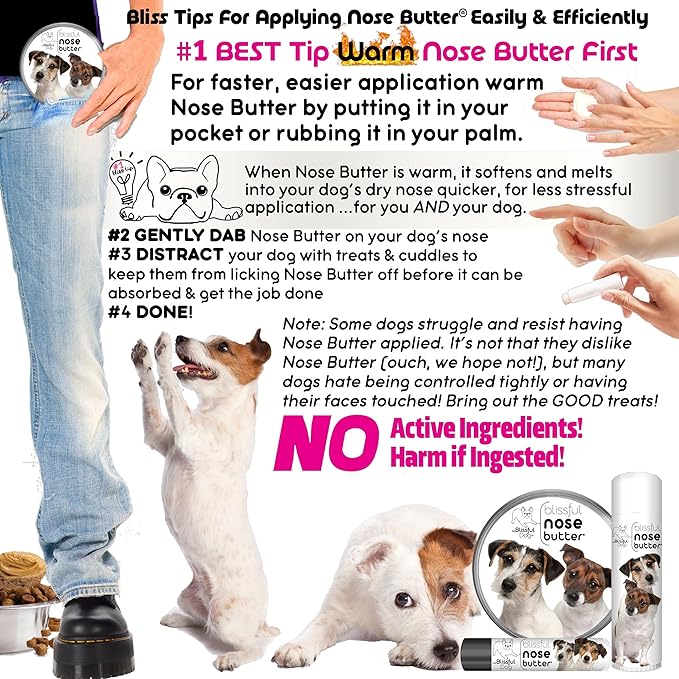 The Blissful Dog Jack Russell Terrier Nose Butter for Dry, Cracked Skin, Lick-Safe Dog Nose Balm with Moisturizing Shea Butter, Almond, Olive, and Essential Oils, Pet Supplies, Uncented, 0.15 oz.