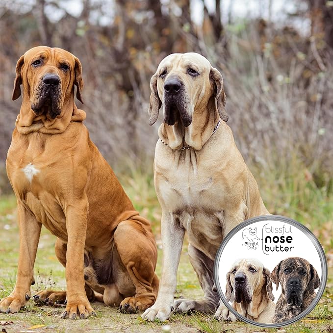 The Blissful Dog Fila Brasilerio Unscented Nose Butter - Dog Nose Butter, 8 Ounce