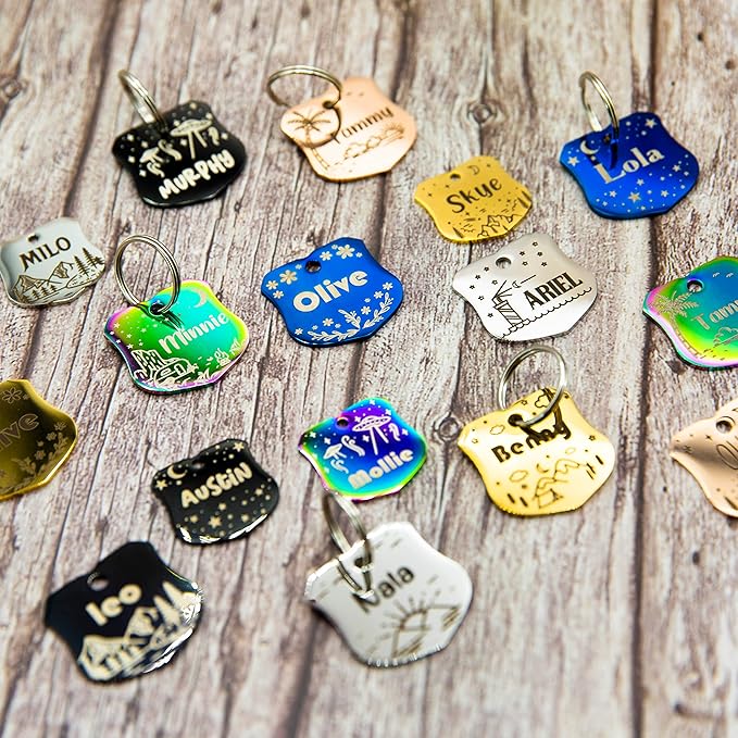 Personalized Dog Tag with 5 Lines of Custom Deep Engraved Durable Stainless Steel Pet ID Name Tag Designer Small Size Badge