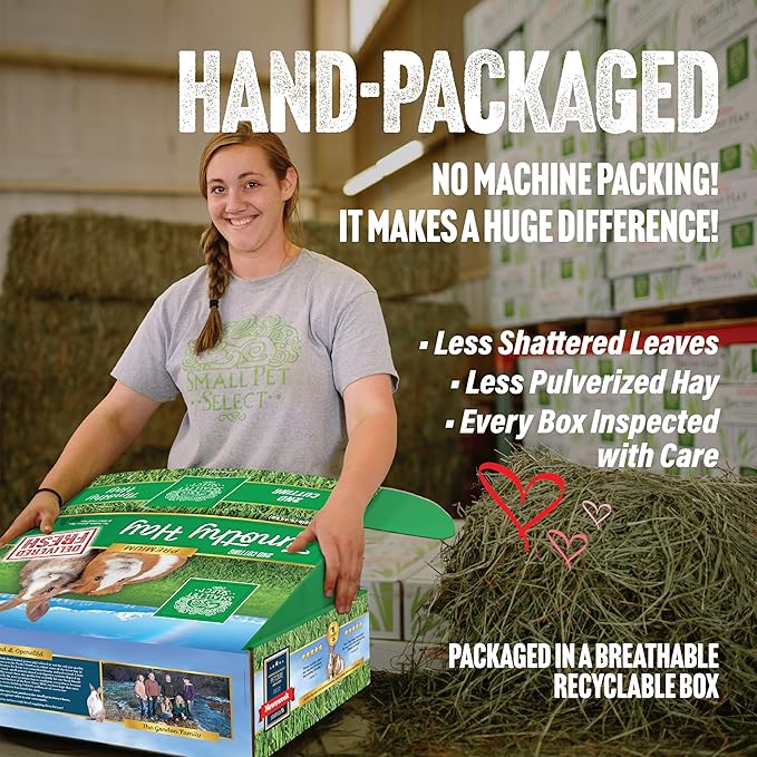 Small Pet Select 2nd Cutting Perfect Blend Timothy Hay Pet Food for Rabbits, Guinea Pigs, Chinchillas and Other Small Animals, Premium Natural Hay Grown in The US, 20 LB