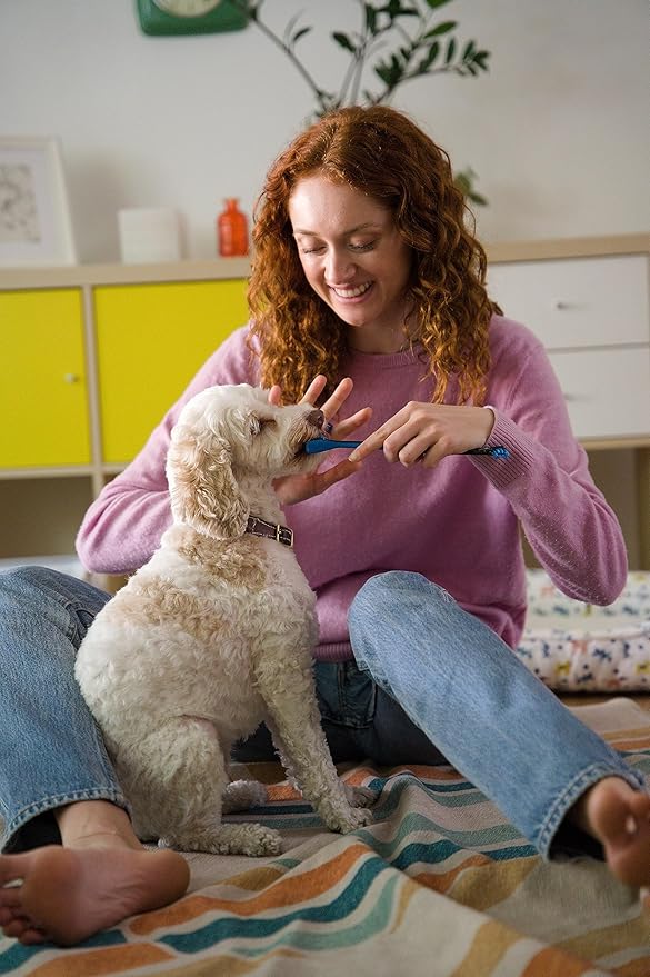 Pet Toothbrushing Assistant for Puppies' Dogs and Cats Allows You to Brush Your pet’s Teeth Without Constantly Worrying About Getting Bitten. (Blue, Small)