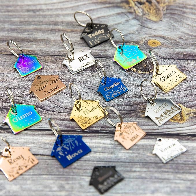 Personalized Dog Tag with 5 Lines of Custom Deep Engraved Durable Stainless Steel Pet ID Name Tag Designer Small Size House