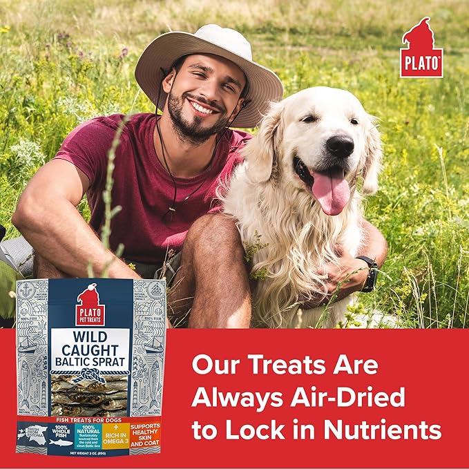 PLATO Pet Treats Fish Dog Treats - Air-Dried, Single Ingredient Dog Treat - with Omega 3 & 6 Fatty Acids to Support Skin and Coat - 100% Whole Fish - Wild Caught Baltic Sprat Dog Treats - 7.5 oz