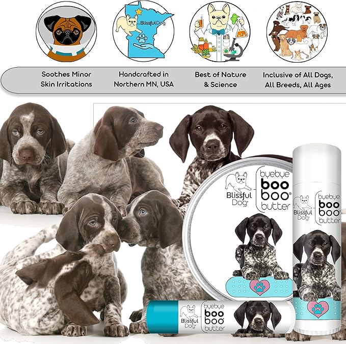 The Blissful Dog 4 oz TIN German Shorthaired Pointer Booboo Butter
