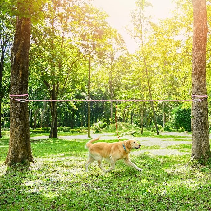 Tresbro Dog Camping Leash - 50ft/75ft/100ft Multi-size Dog Trolley System for Dogs Up to 300lbs, Portable Lightweight Runner Lead and Reflective Tie-out Cable for Yard, Courtyard, Park, Camping