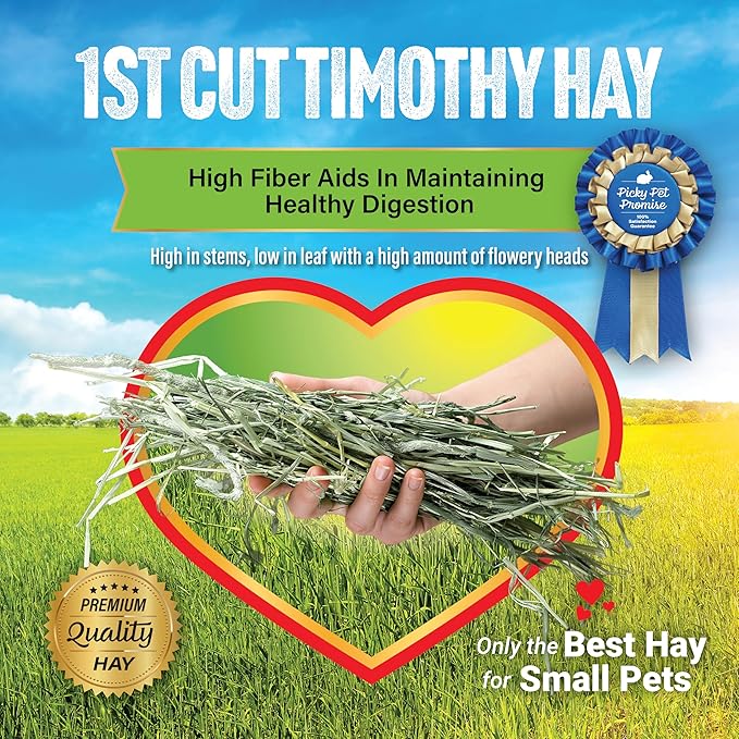 Small Pet Select 1st Cutting Timothy Hay, Animal Food for Guinea Pig, Rabbit, Hamster, Bunny, or Chinchilla, Natural Hay Grown in The USA, 40lb