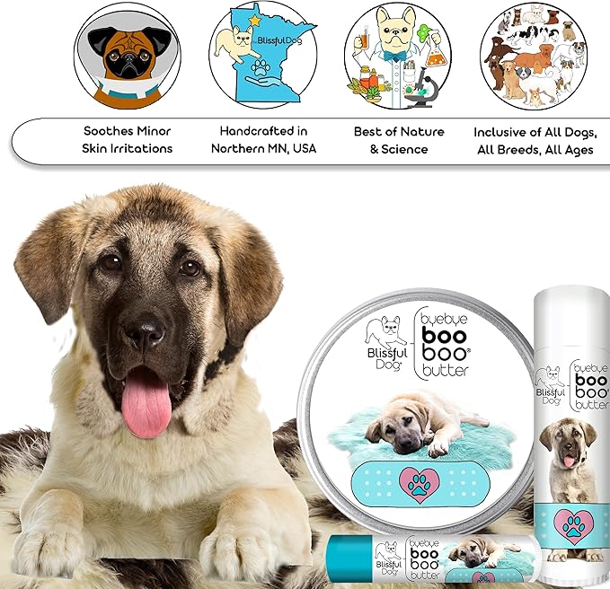 The Blissful Dog Anatolian Shepherd Boo Boo Butter, 4 Ounce