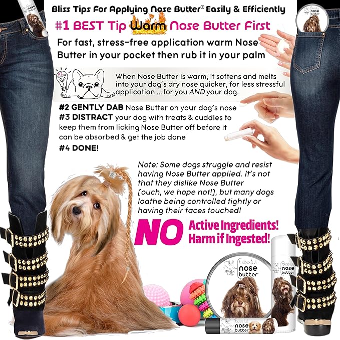 The Blissful Dog Havanese Unscented Nose Butter - Dog Nose Butter, 1 Ounce
