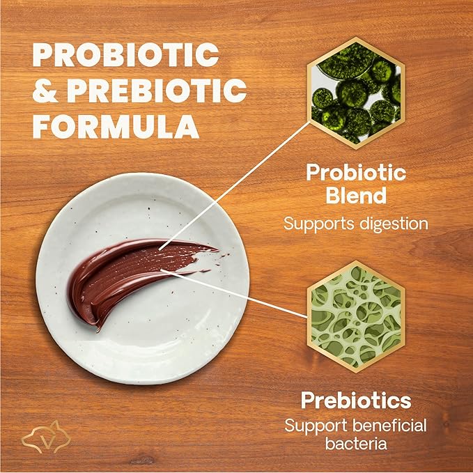 VetriScience Quick Action Diarrhea Aid Paste with Probiotics & B Vitamins, Fast Balance Digestive Support Supplement for Dogs and Cats, Gut Balancer, Help Stop Diarrhea, Unflavored, 35 cc