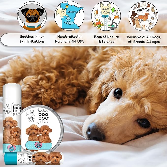 The Blissful Dog 8 oz TIN Poodle Booboo Butter