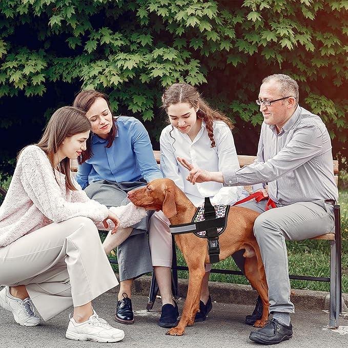 Dogline Dog Harness, Reflective No-Pull Adjustable Vest with Handle for Walking, Training, Breathable, No - Choke Harness for Small, Medium or Large Dogs Room for Patches Leopard Rainbow XL 33"-46"