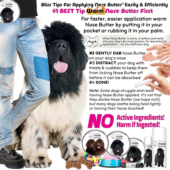 The Blissful Dog Newfoundland Unscented Nose Butter - Dog Nose Butter, 8 Ounce