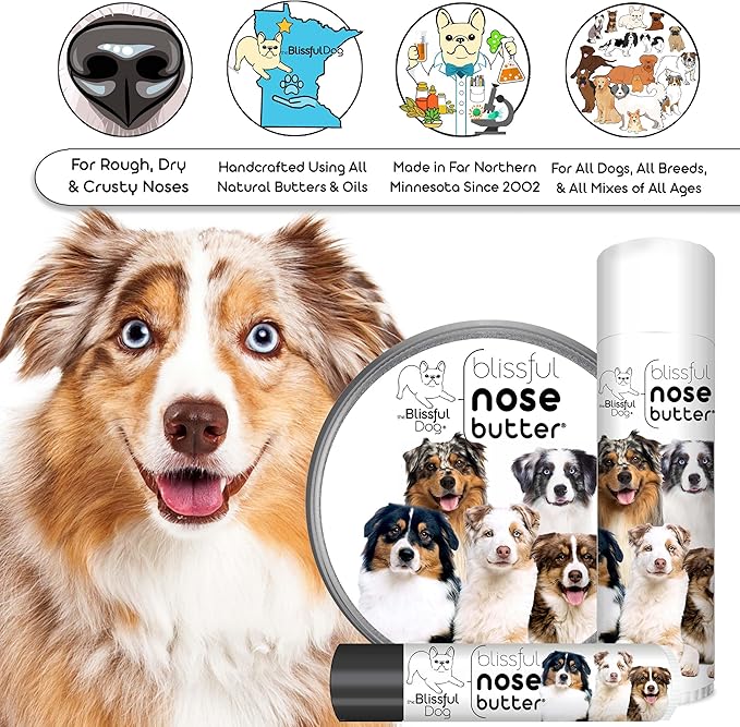 The Blissful Dog Australian Shepherd Nose Butter for Dry, Cracked Skin, Lick-Safe Dog Nose Balm with Moisturizing Shea Butter, Almond, Olive, and Essential Oils, Pet Supplies, Uncented, 1 oz.