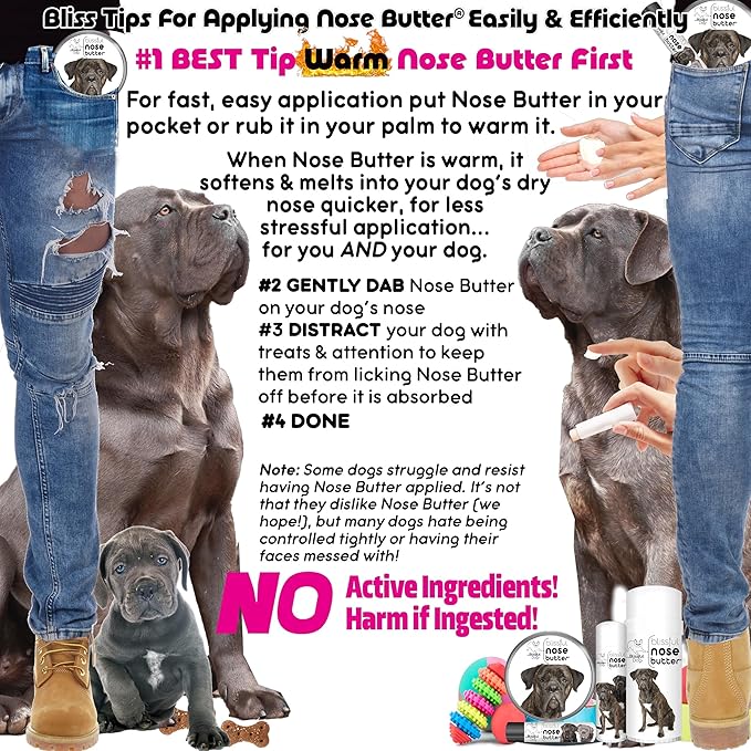The Blissful Dog Cane Corso Nose Butter, Versatile Dog Nose Balm for Dry Nose, Handcrafted Nose Moisturizer, Easy-to-Apply Dog Essentials, Unscented, 2 oz.