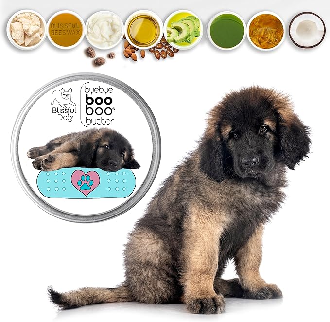 The Blissful Dog Leonberger Boo Boo Butter, 16 oz.