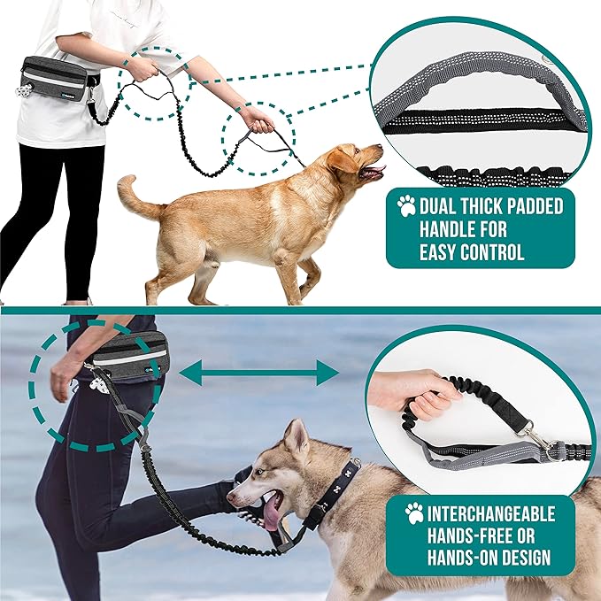 PetAmi Hands Free Dog Leash, Dog Running Leash Belt for Walking, Jogging, Dog Waist Zipper Pouch with Poop Bag Dispenser, Dual Padded Handles, Reflective Durable Bungee Leash, Single, Charcoal Grey