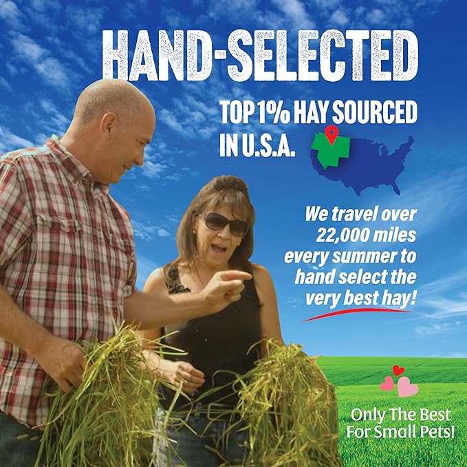 Small Pet Select 2nd Cutting Perfect Blend Timothy Hay, Food for Guinea Pig, Rabbit, Hamster, Bunny, Chinchilla, or Other Small Animals, Natural Hay Grown in The USA, 40lb