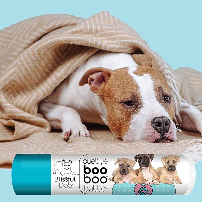 The Blissful Dog .15 oz Tube American Staffordshire Terrier Booboo Butter
