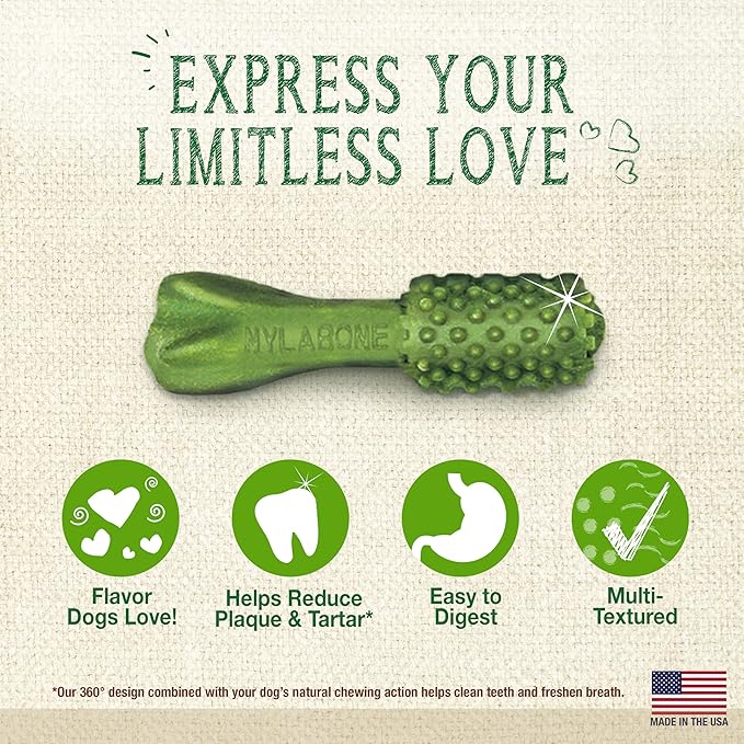 Nylabone Nutri Dent Dog Dental Chews - Natural Dog Teeth Cleaning & Breath Freshener - Dental Treats for Dogs - Fresh Breath Flavor, Mini (32 Count)