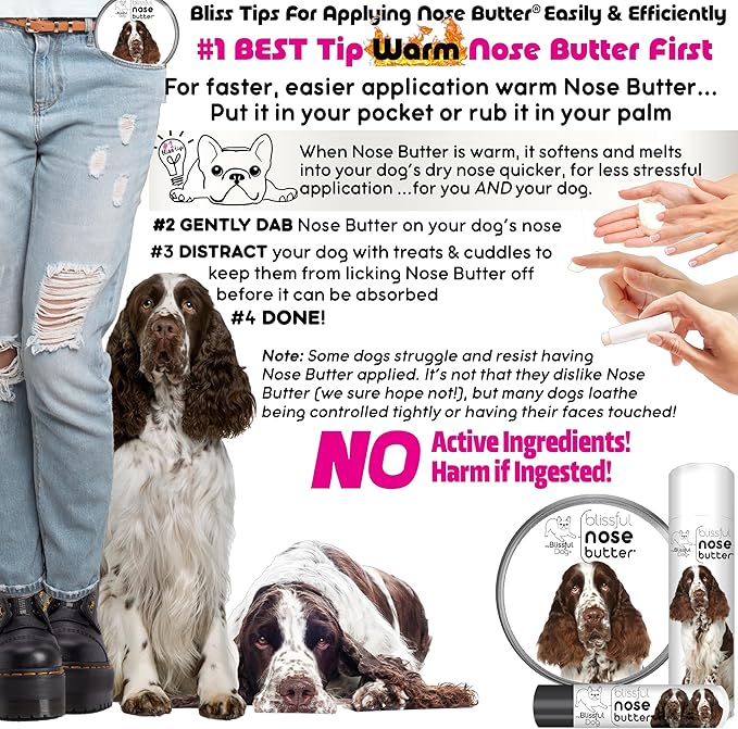 The Blissful Dog Springer Spaniel Nose Butter for Dry, Cracked Skin, Lick-Safe Dog Nose Balm with Moisturizing Shea Butter, Almond, Olive, and Essential Oils, Pet Supplies, Uncented, 2 oz.