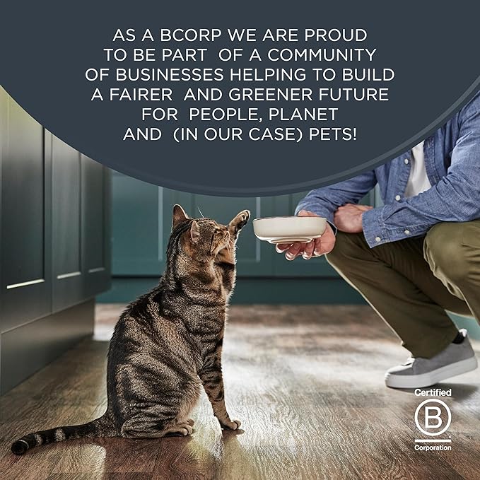 Reveal Natural Cat Treats, 12 Count Single Ingredient Treat for Cats, Grain Free, Whole Salmon Loin, 1.06 oz Bags