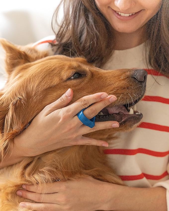 Pet Toothbrushing Assistant for Dogs and Cats Allows You to Brush Your pet’s Teeth Without Constantly Worrying About Getting Bitten Medium Size for Pets Between 15-85 lbs. (7-38.5 Kg)