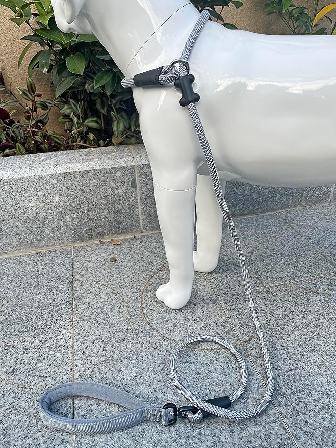 Slip Lead Dog Leash，Strong Nylon Rope Leash and Padded Handle,No Pull Outdoor Walking Training Lead for Small Medium Large Dogs(Grey, 1/2"×6ft)